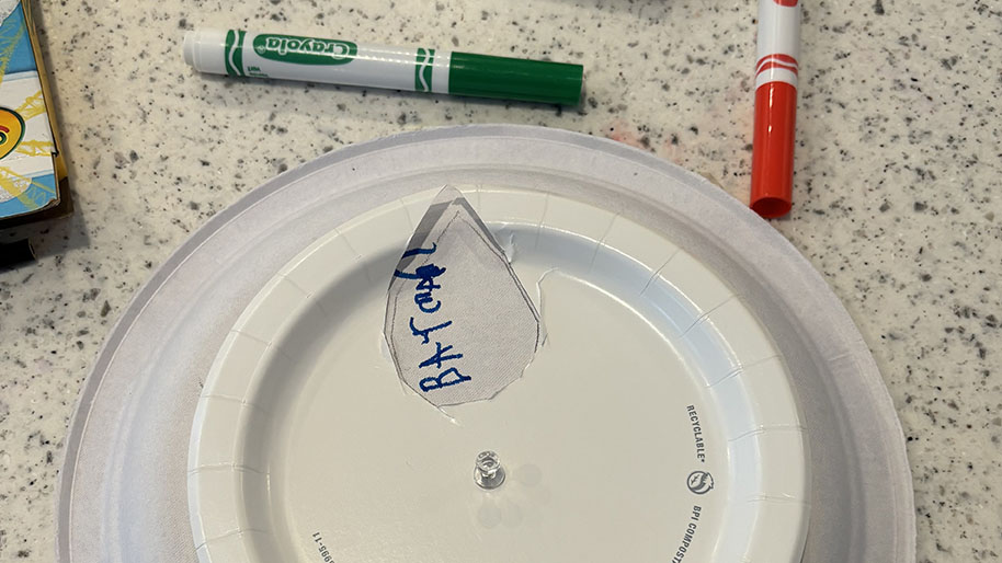 Small paper plate with a flower petal type shape petal tip touching the edge of the plate. 