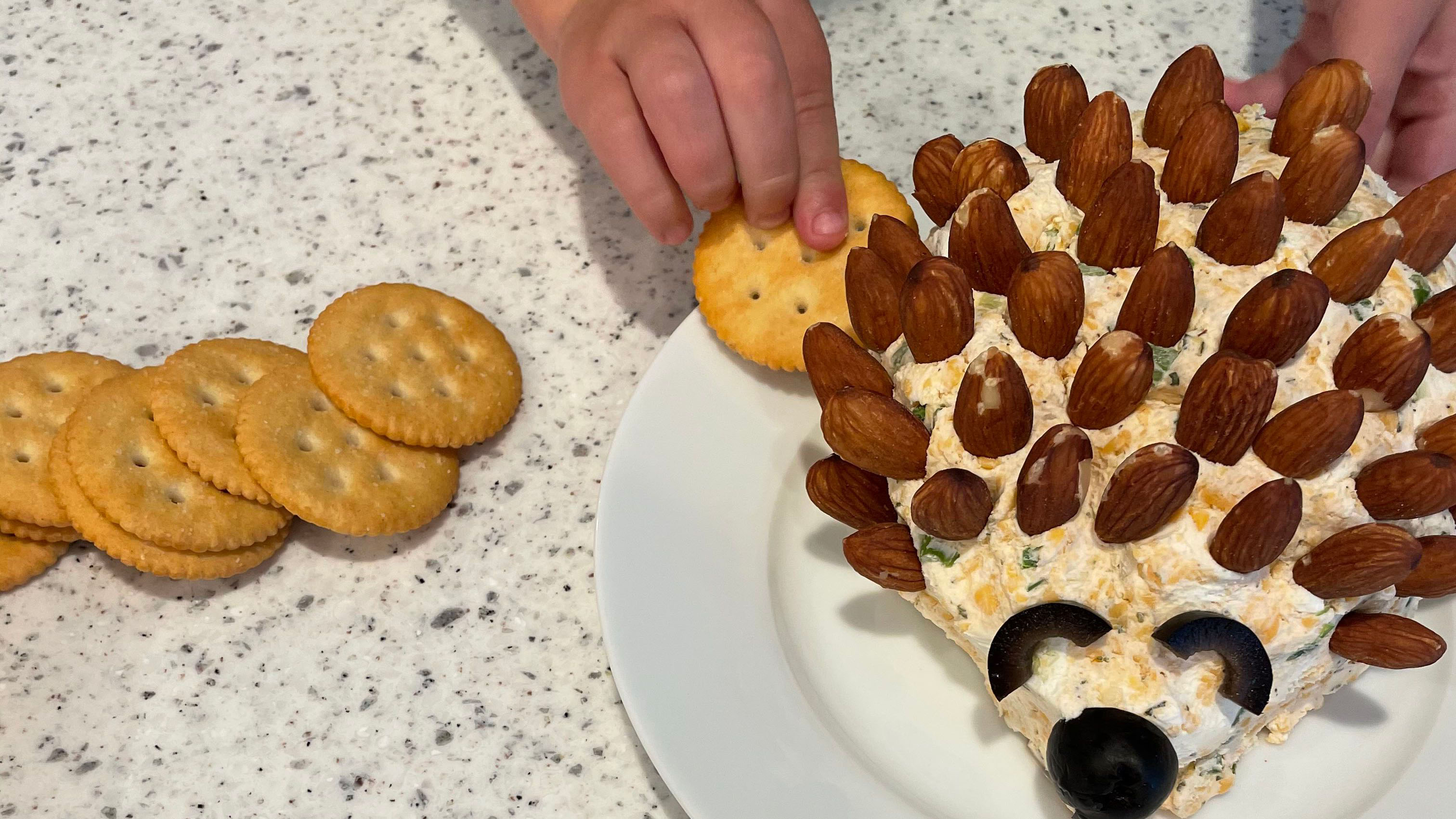 Hands of child putting cracker in porcupine shaped cheeseball with almonds, olives and cheese decoration