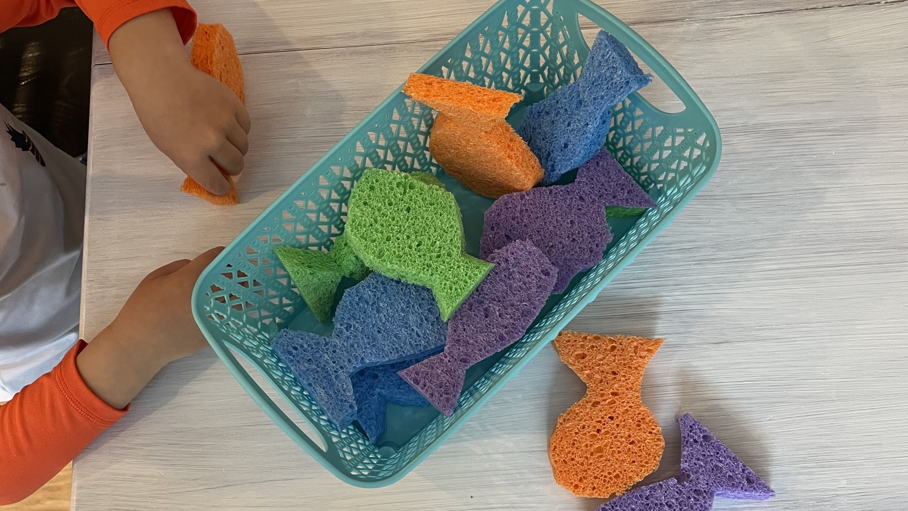 Child at table with colorful cat fish shaped sponges