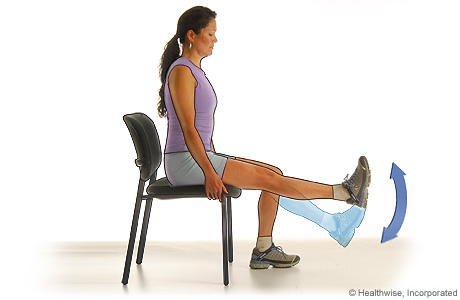 Knee extension (quadricep exercise)