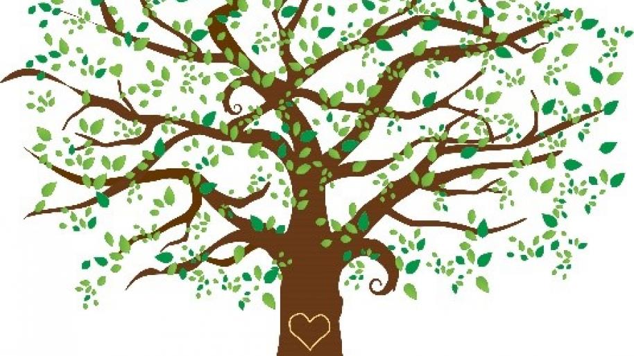 A Walk to Remember Tree