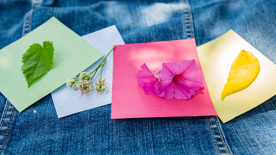 Color paper squares with leaves and flowers of the same color
