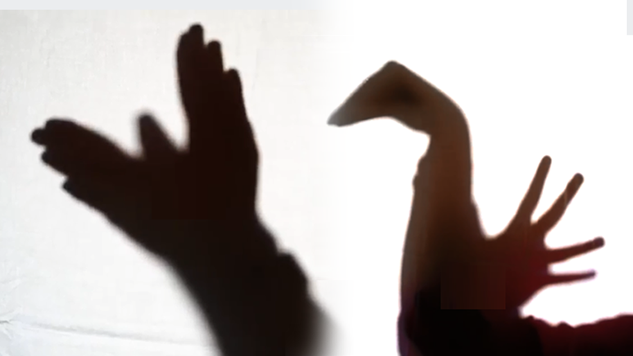 Shadow Puppets image