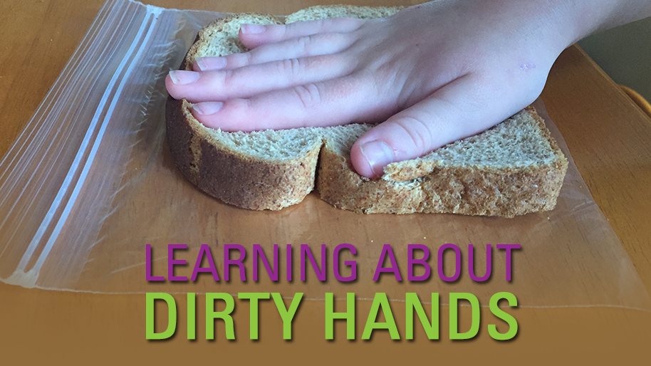 Easy Science: Bread Mold Experiment