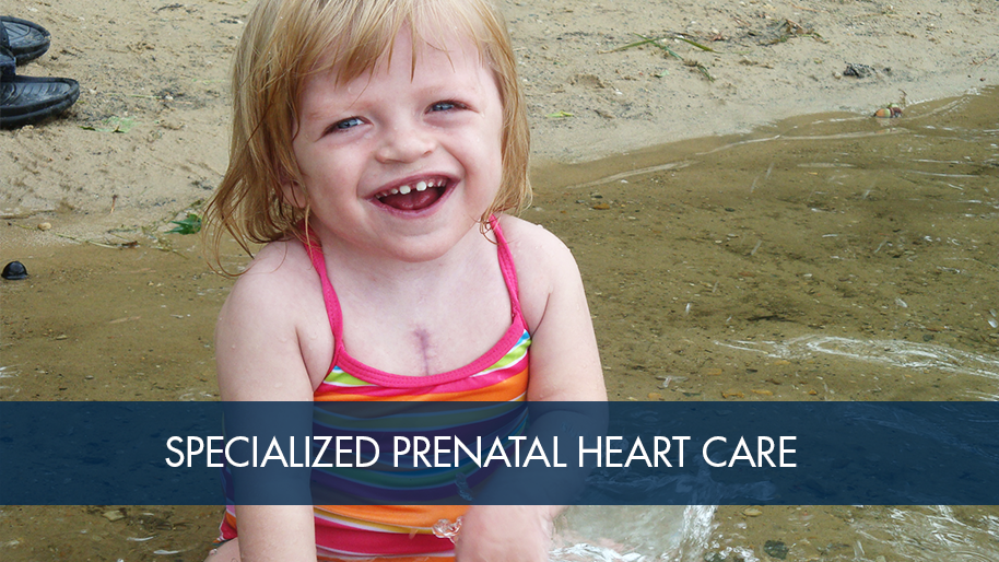 Prenatal Heart Care