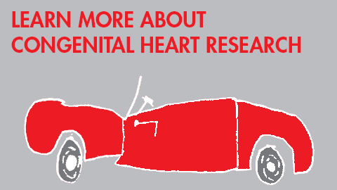 Congenital Heart Research