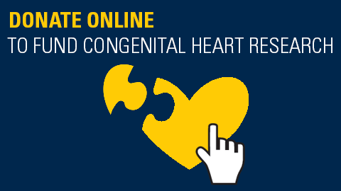 Donate Online to Fund Congenital Heart Research