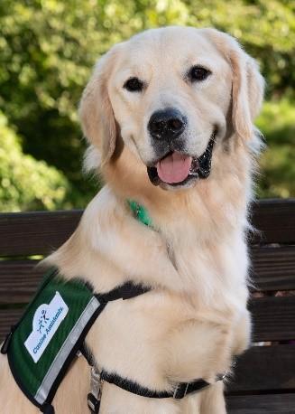 Therapy dog McCoy