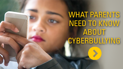 Cyber Bully Blog Post