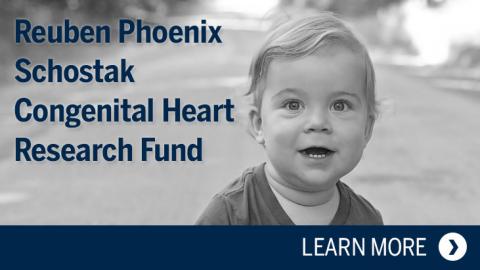 Reuben Phoenix Schostak Congenital Heart Research Fund